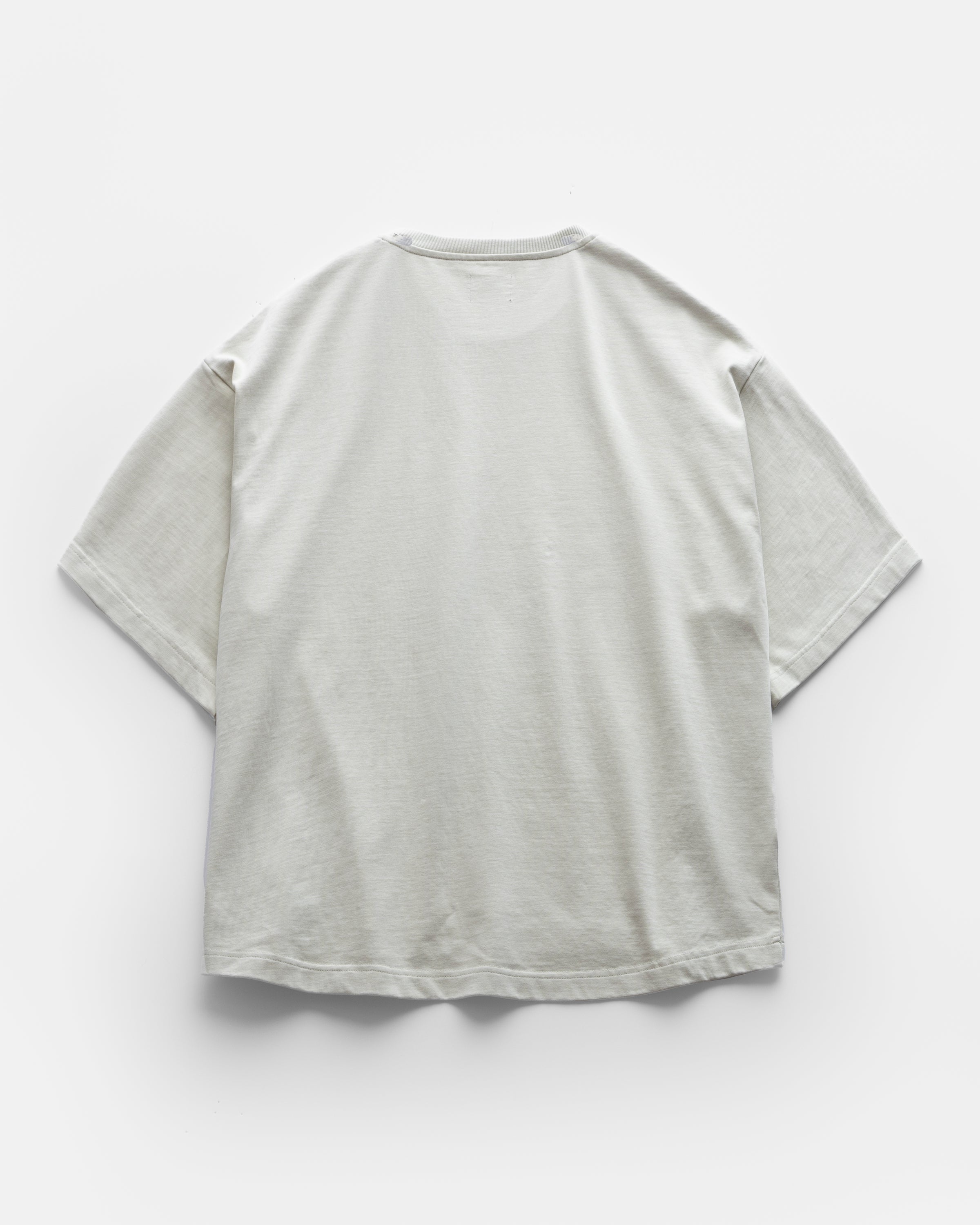 GRAHAME BIG TEE - BARELY LICHEN HEAVYWEIGHT COTTON JERSEY