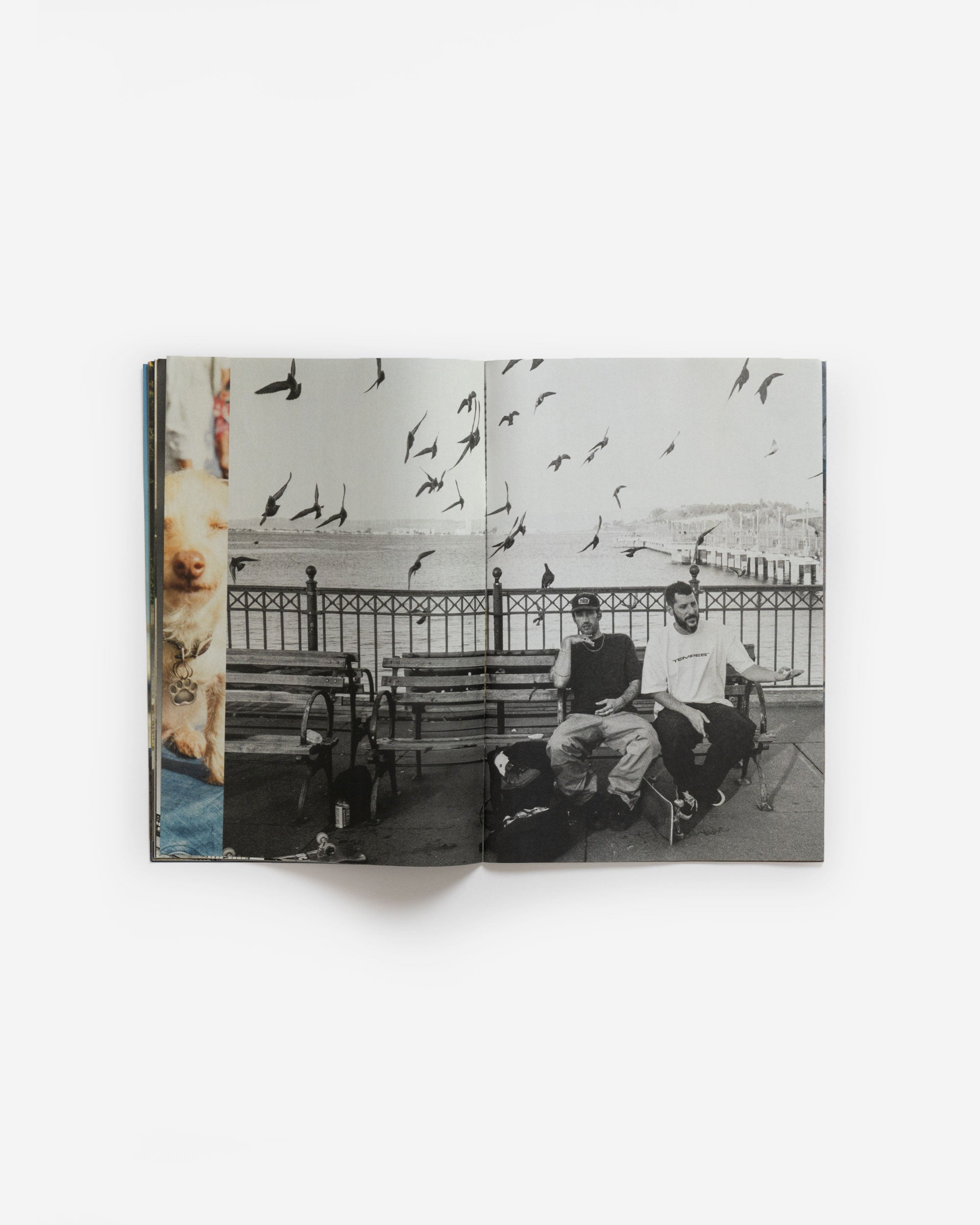 THE SF SKATE ZINE BY ANDO